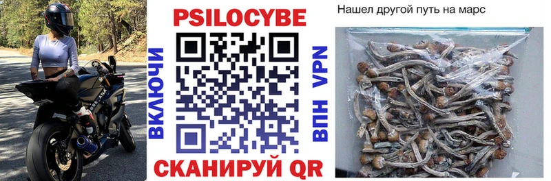 Псилоцибиновые грибы GOLDEN TEACHER  Фокино 
