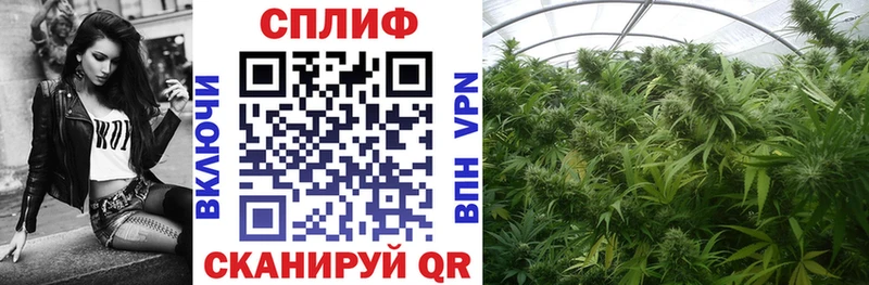 Конопля индика  Фокино 